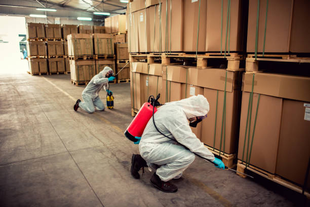 Trusted Union, NJ Pest Control Experts