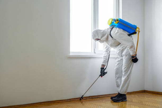 Wildlife Control Services in Union, NJ