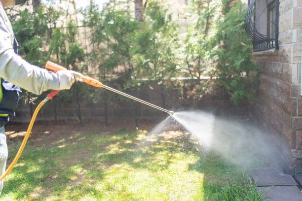Best Mosquito Control Services  in Union, NJ