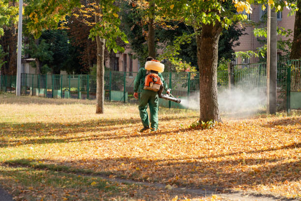 Best Residential Pest Control  in Union, NJ