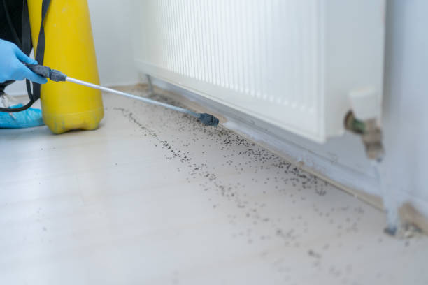 Best Best Pest Control Companies  in Union, NJ